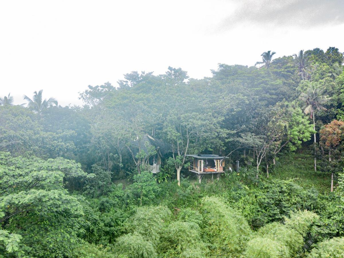 Bird Hills Bamboo House Villa Karangasem  Exterior photo